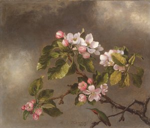 Colibrí y flores de manzano, 1875 de Martin Johnson Heade