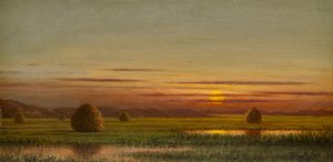 Pantanos de Martin Johnson Heade