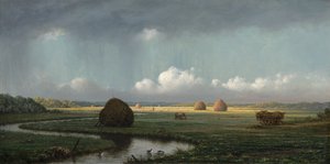 Lluvia Repentina, Pantanos de Newbury de Martin Johnson Heade
