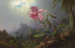 Dos colibríes con una orquídea 1875 (Óleo sobre lienzo)