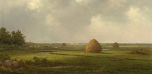 Vista de Marshfield de Martin Johnson Heade
