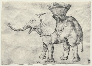 Un elefante con Howdah, c. 1485
