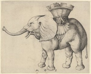 Elefante