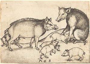 Familia de Cerdos