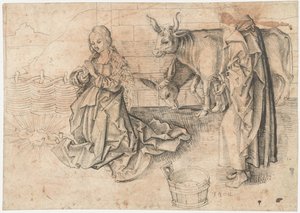 Nacimiento de Cristo de Martin Schongauer