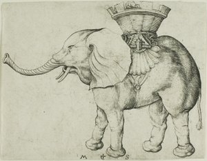 El elefante