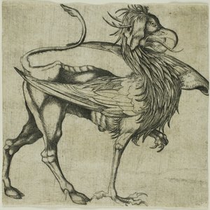 El Grifo