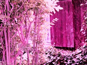 En la casa del jardín de Martina Konitzky