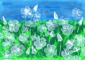 Malvas blancas de Martina Konitzky