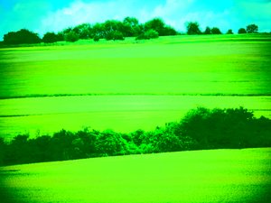 Paisaje Verde