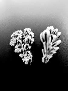 Metal