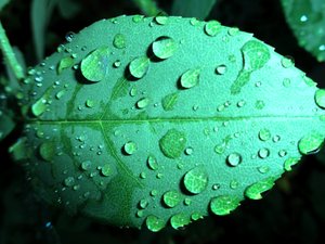 Gotas de lluvia de Martina Konitzky