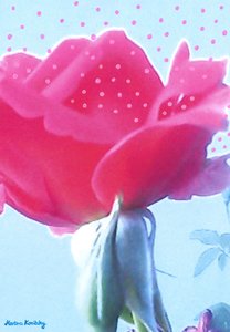 Rosa rosa de Martina Konitzky