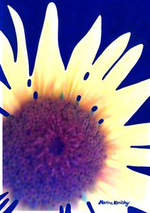 Girasol azul oscuro de Martina Konitzky