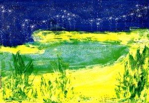 Cielo estrellado sobre el lago
