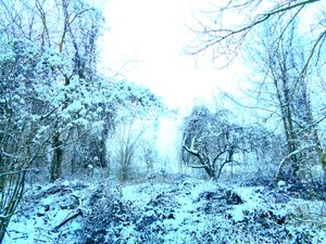 Azul invierno
