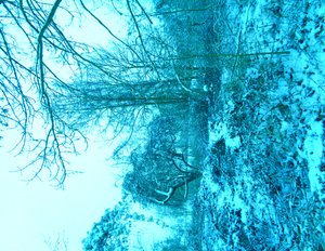Azul invierno