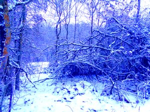 Azul invierno
