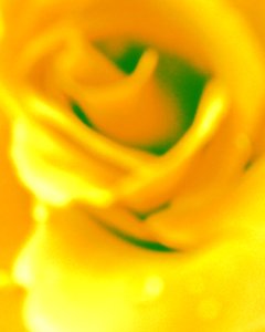 Amarillo de Martina Konitzky