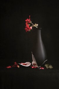  de Martine Benezech