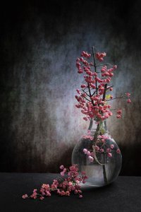  de Martine Benezech