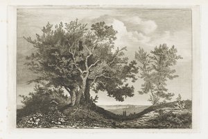 Camino rural entre los dos lotes de árboles de Martinus Antonius Kuytenbrouwer jr.
