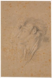 Estudio de un joven y un anciano barbudo de perfil hacia la izquierda de Martinus Rørbye