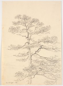 Un pino de Martinus Rørbye