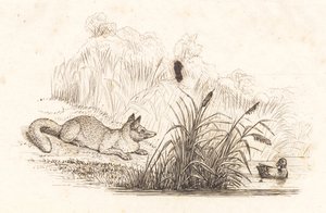 Ilustración para "Cincuenta fábulas para niños" de Hey de Martinus Rørbye