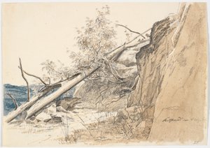 Tronco de árbol apoyado contra una roca. Noruega de Martinus Rørbye