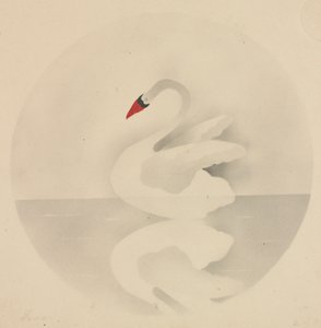 Cisne de Mary Altha Nims