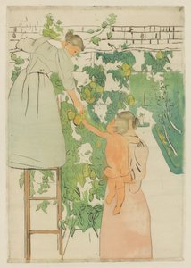 Recolectando fruta, c. 1893 de Mary Cassatt