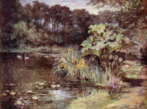 Jardines Escoceses: Culzean