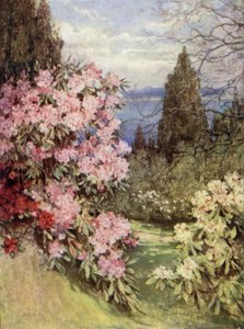 Jardines Escoceses: Stonefield de Mary Georgina Wade Wilson