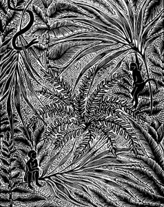 Selva de Mary Kuper