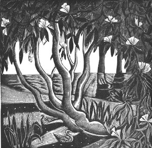 Rododendros, Holland Park, 2006 (grabado en vinilo) de Mary Kuper
