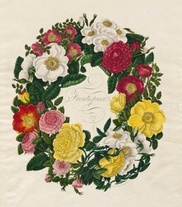 Una corona de rosas, 1799