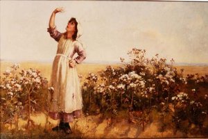 Cardo volador de Mary Louise Breakell