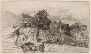 Una granja urbana—Nueva York de Mary Nimmo Moran