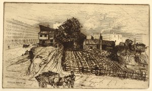 Una granja urbana, Nueva York