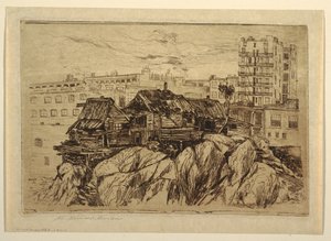 Los habitantes de los acantilados de Nueva York de Mary Nimmo Moran