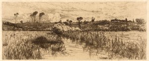 El refugio de la rata almizclera de Mary Nimmo Moran