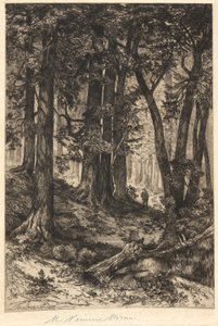 Sin título (escena del bosque) de Mary Nimmo Moran