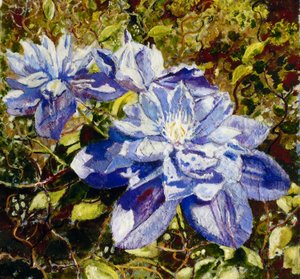 Clemátide de Mary Smith