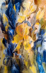 iris dorado y azul
