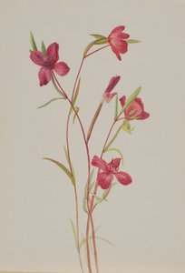 Despedida de la primavera de Mary Vaux Walcott