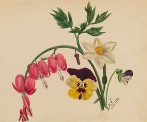Sin título--Flores mixtas, 1876 de Mary Vaux Walcott