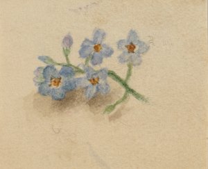 Sin título, 1874 de Mary Vaux Walcott