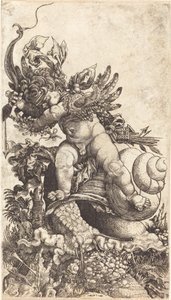 Cupido montando un caracol sobre vegetación de hongos