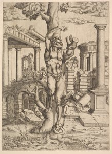 Hombre Contra un Árbol, ca. 1543-44